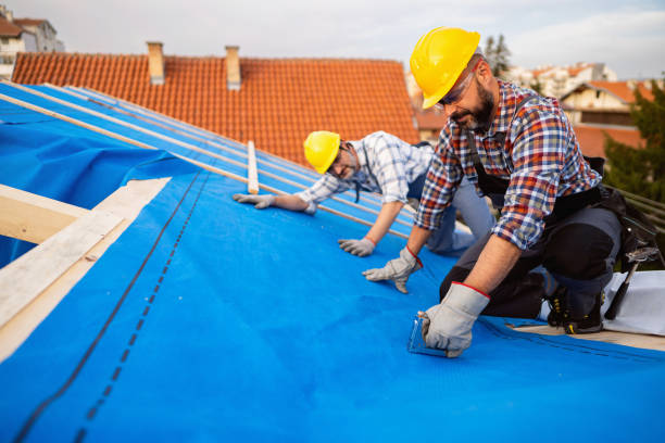 Best Storm Damage Roof Repair  in Rainsville, AL